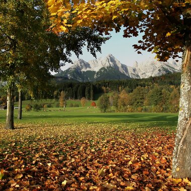 Golfplatz bedeckt mit Laub