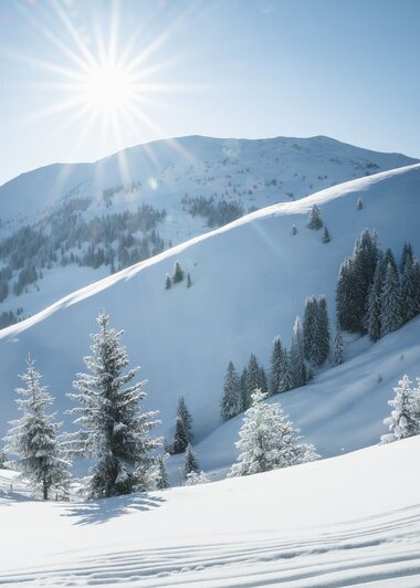 Strahlende Winterlandschaft mit verschneiten Bergen und Sonne am Hochkönig.  | © Hochkönig Tourismus GmbH