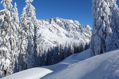 Verschneite Bäume und majestätische Berge im Hochkönig laden zu unvergesslichen Winterabenteuern ein. | © Hochkönig Tourismus GmbH