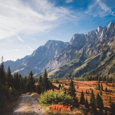 Herbstliche Berglandschaft am Hochkönig mit farbenfrohen Bäumen und klarem Himmel. | © Hochkönig Tourismus GmbH