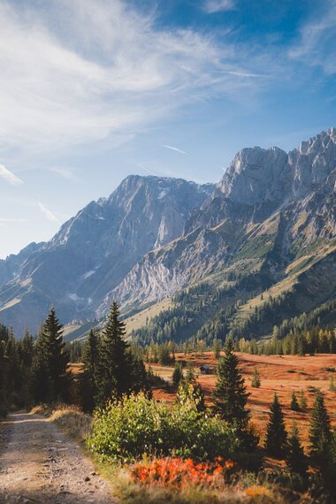 Herbstliche Berglandschaft am Hochkönig mit farbenfrohen Bäumen und klarem Himmel. | © Hochkönig Tourismus GmbH