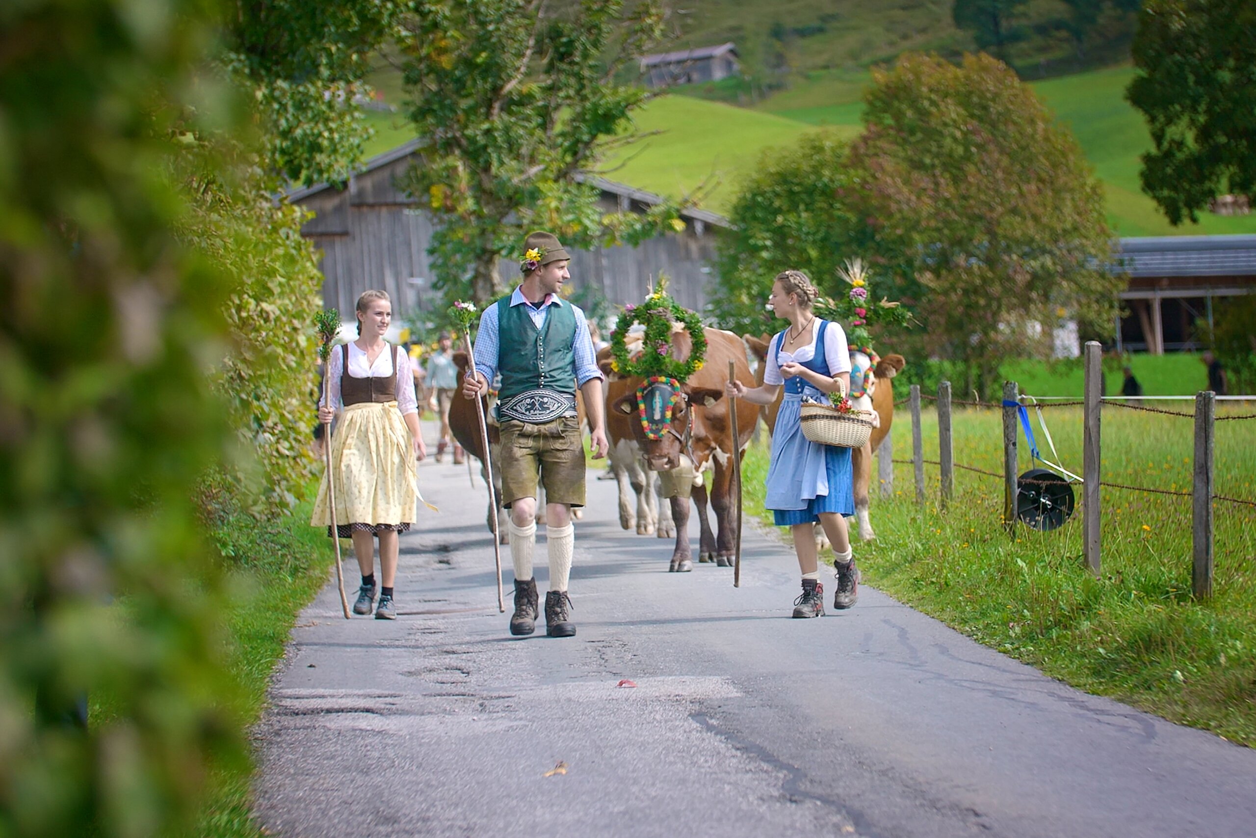 Bunte Almwandlung in der Region Hochkönig, Trachten und Kühe vor Bergkulisse erwecken Tradition und Natur. | © Hochkönig Tourismus GmbH