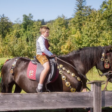 Kind auf Pferd beim Ausritt, umgeben von grüner Natur der Region Hochkönig. | © Hochkönig Tourismus GmbH